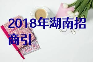 2018年湖南招商引资项目指南·轻纺,化工,医药篇(下),好项目等你来投